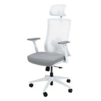 ราคา เก้าอี้สุขภาพ BEWELL FROZEN สีขาว (1229558)