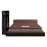 ราคา แผ่นรองนอนยางพาราแท้ 3.5 ฟุต EMMAS BOSTON TOPPER PLUS สีน้ำตาล หนา 3 นิ้ว (888170800395)