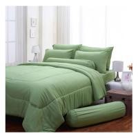 ราคา ชุดผ้าปูที่นอน 5 ฟุต 5 ชิ้น FOUNTAIN COLOR 70102-FT GREEN02 (1213966)