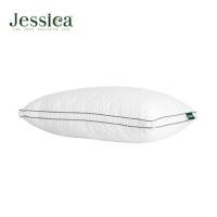 ราคา หมอนหนุน ขนห่านเทียม JESSICA D-ALTERNATIVE 26072-MEDIUM 18x28 นิ้ว สีขาว (1235667)