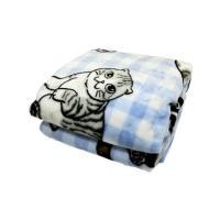ราคา ผ้าห่ม TULIP ทูนหัวของบ่าว 40x60 นิ้ว 02106-TFG37 (1311829)
