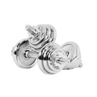 ราคา ชุดดัมเบล IRONTEC CHROME 15 กก. (1265348)