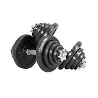 ราคา ชุดดัมเบล IRONTEC BLACK 50 กก. (1265867)