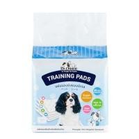 ราคา แผ่นรองซับ DR.CHOICE SIZE S (แพ็ก 20 ชิ้น) (1301773)