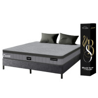 ราคา ที่นอนยางพารา 3.5 ฟุต EMMAS BLACK SWAN PARADISE มาพร้อมกับฐานเตียง 3.5 ฟุต NOOZ PIXEL BED FRAME (ไม่มีหัวเตียง) (888170800432)