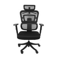 ราคา เก้าอี้สุขภาพ MODENA AERO NET สีดำ (1305131)