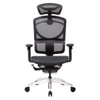 ราคา Ergotrend เก้าอี้เพื่อสุขภาพ รุ่น Gotland