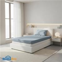 ราคา ชุดผ้าปู TOPPER 3 ฟุต (ชุด 2 ชิ้น) HOME LIVING STYLE FLOAT II สี BLUE (1300677)
