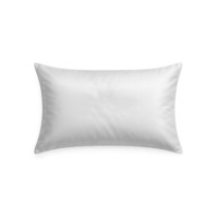 ราคา ปลอกหมอนหนุน SAIYASIRI รุ่น SIGNATURE ขนาด STANDARD SIZE 20X26 นิ้ว สี WHITE PEARL (888233700002)
