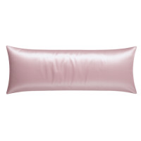 ราคา ปลอกหมอนหนุน SAIYASIRI รุ่น SIGNATURE ขนาด BODY SIZE 50X20 นิ้ว สี LAMONADE (888233700016)