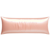 ราคา ปลอกหมอนหนุน SAIYASIRI รุ่น SIGNATURE ขนาด BODY SIZE 50X20 นิ้ว สี PEACHY PEARL (888233700018)