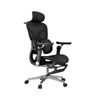 ราคา เก้าอี้ทำงานเพื่อสุขภาพ MOKKOI HOME รุ่น X-V2 DUAL สีดำ ปรับที่วางแขนได้ (888236000013)