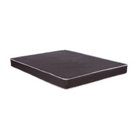 ราคา ที่นอน PVC 5 ฟุต WISDOM DESIGN FURNITURE รุ่น LUCKY (888216600730)