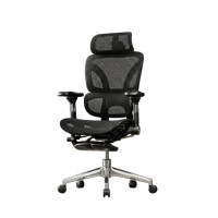 ราคา เก้าอี้ทำงานเพื่อสุขภาพ MOKKOI HOME รุ่น X - 300 FLOW PRO สีดำ ปรับที่วางแขนได้ (888236000034)
