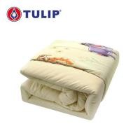 ราคา ผ้านวม TULIP POOH 60X80 นิ้ว 60258-DLD011 (1247888)