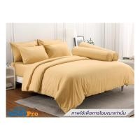 ราคา ชุดผ้าปูที่นอน 3.5 ฟุต (ชุด 3 ชิ้น) TULIP DELIGHT 60058-DL585 (1298297)