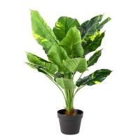 ราคา ต้นพลูด่างประดิษฐ์ LALA HOME 80 ซม. (1084927)