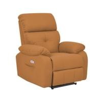 ราคา เก้าอี้ปรับนอนไฟฟ้า FURDINI CHARLIE/PET FRIENDLY สีน้ำตาล (1311500)