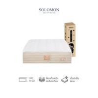 ราคา ที่นอนเย็น พ็อกเก็ตสปริง 3.5 ฟุต หนา 10 นิ้ว SOLOMON รุ่น เมตะรุ รับประกัน10ปี (888128200233)