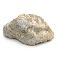 ราคา ก้อนหินเทียมไฟเบอร์กลาส OCEANROCK DECOR รุ่น OCR02 เรืองแสง สําหรับงานตกแต่งสวน สีขาว (888238300002)