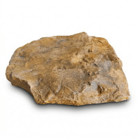 ราคา ก้อนหินเทียมไฟเบอร์กลาส OCEANROCK DECOR รุ่น OCR03 สําหรับงานตกแต่งสวน สีน้ำตาล (888238300003)