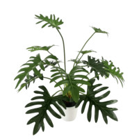 ราคา ต้นซานาดูปลอม ใบเหมือนจริง PIMARN รุ่น PID387 สูง 70 ซม.,14 ใบ (888237700011)