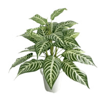 ราคา ต้นคล้าม้าลายปลอม PIMARN รุ่น PID202 สูง 50 CM (888237700018)