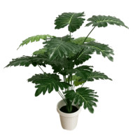 ราคา ต้นซานาดูปลอม PIMARN รุ่น PID091 สูง 70 CM,18 ใบ (888237700010)