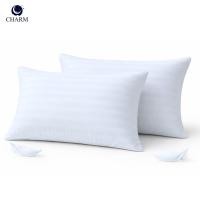 ราคา หมอนหนุน CHARM SWEET DREAM แพ็คคู่ (2 ใบ) นุ่มเด้ง สไตล์โรงแรม ขนาด 19X29 นิ้ว 1,000 กรัม (888127600005)