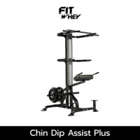 ราคา อุปกรณ์ออกกำลังกาย FITWHEY POWERTEC อุปกรณ์ CHIN DIP ASSIST PLUS L-CDA +13 (888213500433)