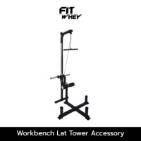 ราคา อุปกรณ์ออกกำลังกาย FITWHEY POWERTEC อุปกรณ์ WORKBENCH LAT TOWER ACCESSORY (888213500434)
