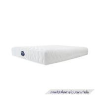 ราคา Zinnia ที่นอน ขนาด 3.5 ฟุต รุ่น Boulevard