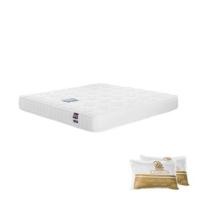 ราคา ที่นอนสปริง 5 ฟุต DUNLOPILLO รุ่น TWILIGHT พร้อมหมอนหนุน 2 ชิ้น (1135421)