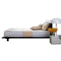 ราคา Lotus ที่นอน ขนาด 3.5 ฟุต รุ่น Northlight III