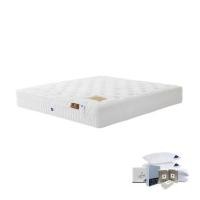 ราคา Omazz ที่นอน ขนาด 5 ฟุต รุ่น Fartona