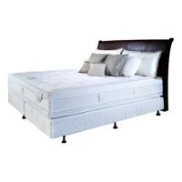 ราคา SEALY ที่นอน 5 ฟุต รุ่น SOLITAIRE พร้อมชุดเครื่องนอน 11 ชิ้น