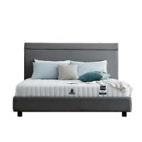 ราคา ที่นอนโฟม 3.5 ฟุต DUNLOPILLO รุ่น SPIRIT พร้อมหมอนหนุน 1 ใบ (1149248)