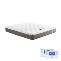 ราคา ที่นอนยางพารา 5 ฟุต LOTUS รุ่น BRAXTON III พร้อมหมอนหนุน 2 ใบ (1243655)