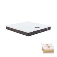 ราคา ที่นอนยางพารา 5 ฟุต DUNLOPILLO รุ่น RAPTURE II พร้อมหมอนหนุน 2 ชิ้น (1243990)