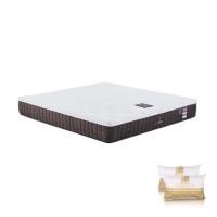 ราคา ที่นอนยางพารา 5 ฟุต DUNLOPILLO รุ่น RAPTURE III พร้อมหมอนหนุน 2 ชิ้น (1244013)