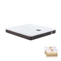 ราคา ที่นอนยางพารา 6 ฟุต DUNLOPILLO รุ่น RAPTURE I พร้อมหมอนหนุน 2 ชิ้น (1244244)