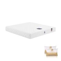 ราคา ที่นอนโฟม 6 ฟุต DUNLOPILLO รุ่น UTOPIA พร้อมหมอนหนุน 2 ชิ้น (1245232)