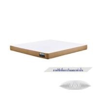 ราคา ที่นอนโฟม 3.5 ฟุต MIDAS รุ่น ERGO-X พร้อมหมอนหนุน 1 ชิ้น (1262522)