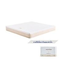 ราคา ที่นอนพ็อกเก็ตสปริง 3.5 ฟุต WOODFIELD รุ่น S-HYBRID PRO พร้อมหมอนหนุน 1 ชิ้น (1263840)
