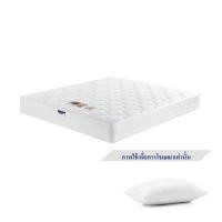 ราคา Midas ที่นอน ขนาด 3.5 ฟุต รุ่น Oldham