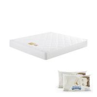 ราคา ที่นอนสปริง 6 ฟุต MIDAS รุ่น MALEENA พร้อมหมอนหนุน 2 ชิ้น (1268303)