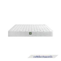 ราคา ที่นอนยางพารา 3 ฟุต KAWA รุ่น APRIL (1271826)