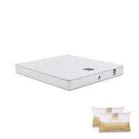 ราคา ที่นอนสปริง 5 ฟุต DUNLOPILLO รุ่น SERENE พร้อมหมอนหนุน 2 ชิ้น (1279619)