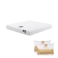 ราคา Dunlopillo ที่นอน ขนาด 5 ฟุต รุ่น Venus