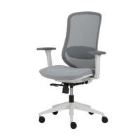 ราคา เก้าอี้สุขภาพ MODERNFORM LIMB สีเทา (1316850)